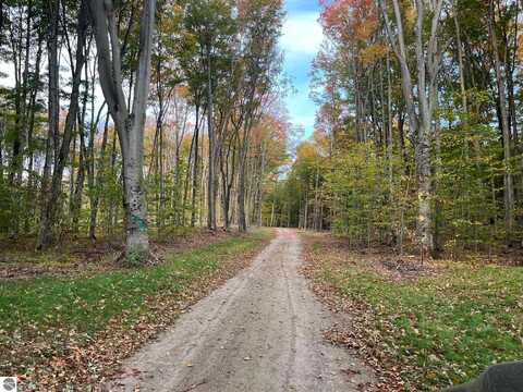 0002 S Bright Road, Maple City, MI 49664