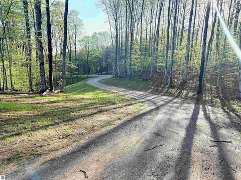 00001 S Bright Road, Maple City, MI 49664