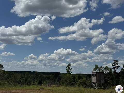 Tbd CR 1606, Linden, TX 75563