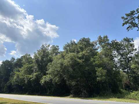 DR MLK JR Memorial, Crawfordville, FL 32327
