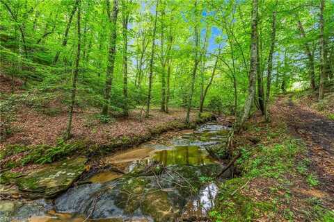 1451 John Ed Mabe Road, Danbury, NC 27018