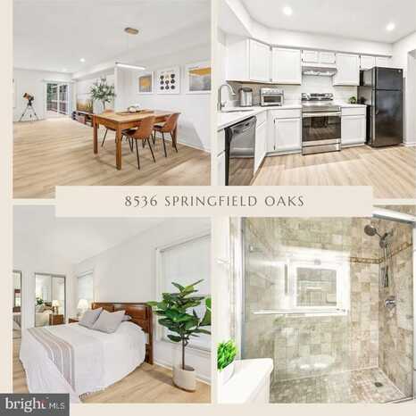 8536 SPRINGFIELD OAKS DRIVE, SPRINGFIELD, VA 22153