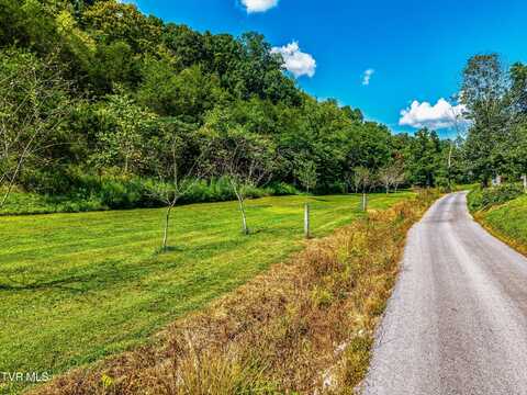 Lot 2 Bear Paw Ln, Rogersville, TN 37857
