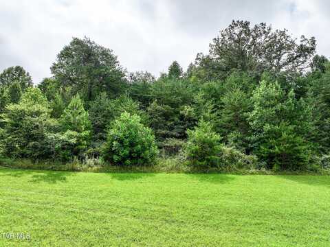 2 Ac Baileyton Road, Greeneville, TN 37745