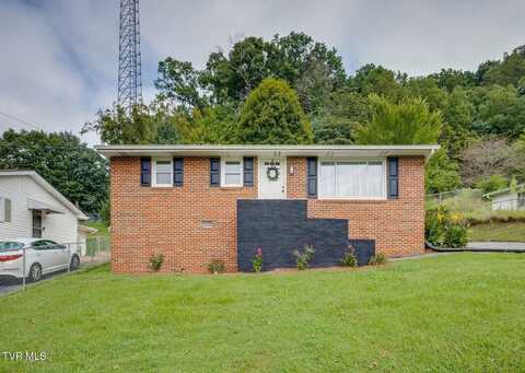 114 Texas Street, Kingsport, TN 37665