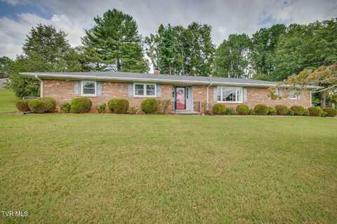 205 Redstone Drive, Bristol, TN 37620