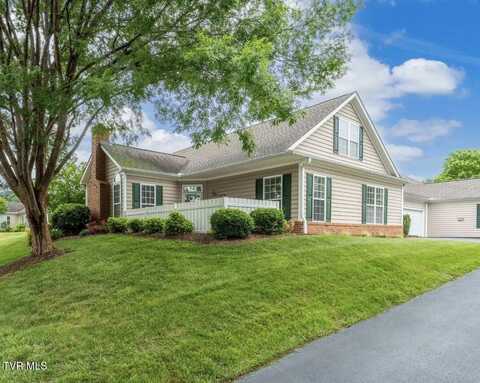 223 Avonlea Place, Johnson City, TN 37604