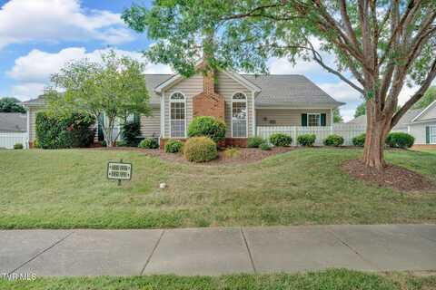 223 Avonlea Place, Johnson City, TN 37604