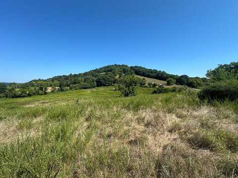 McClures Bend Ln, CARTHAGE, TN 37030