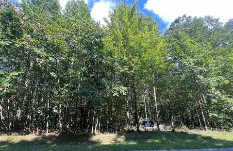 405 Walker Hollow Road, MONTEREY, TN 38574