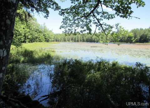 TBD Off Goldmine Road parcel B, Big Bay, MI 49808