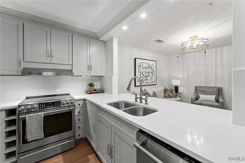 1228 8th Street unit: 224, Tuscaloosa, AL 35401