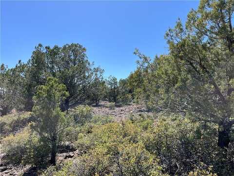 243 N Kit Fox Trail, Kingman, AZ 86401