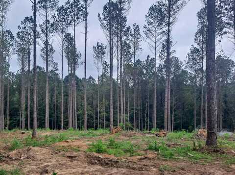 NO. 2 HILL Rd, Nauvoo, AL 35578