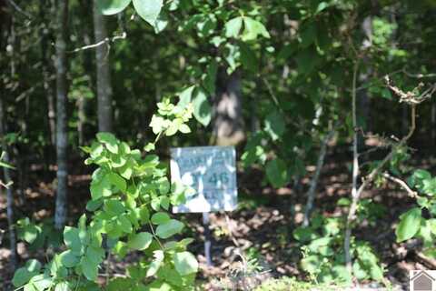 Lot 46 Bayridge Road, New Concord, KY 42076