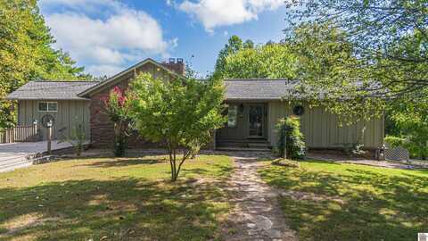 92 Timmons Lane, Gilbertsville, KY 42044