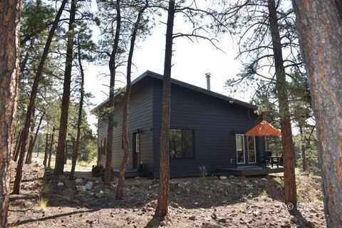 42 Hannah Cir, Westcliffe, CO 81252