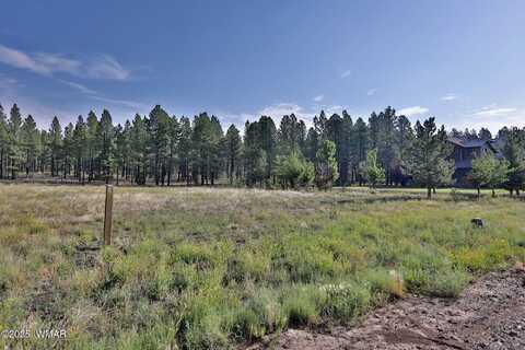 9592 Sierra Springs Drive, Pinetop, AZ 85935