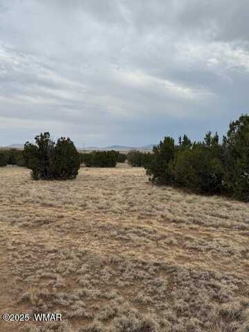 76 County Road 8010, Concho, AZ 85924