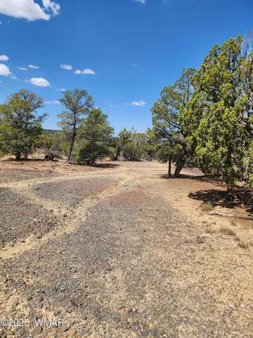 15 Co Rd 3041, Concho, AZ 85924