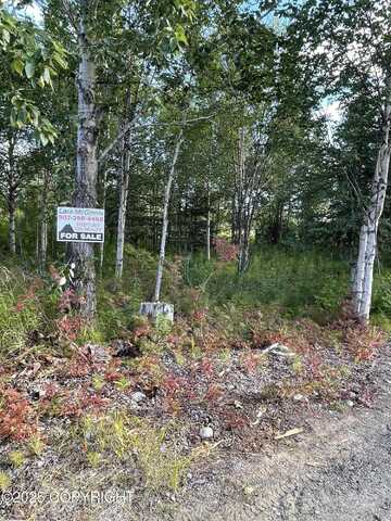 25850 Stinkbug Street, Ninilchik, AK 99556