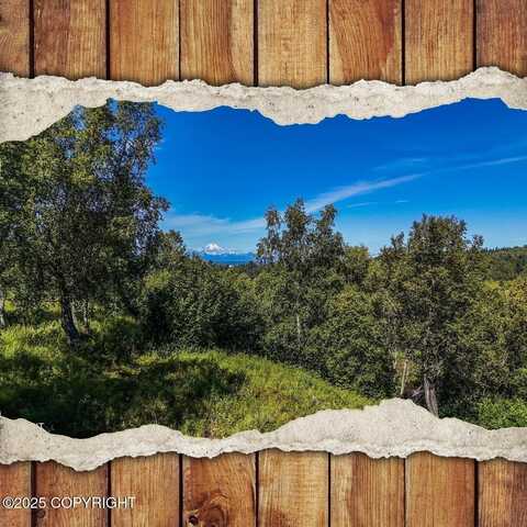 15522 Tovarish Street, Ninilchik, AK 99639