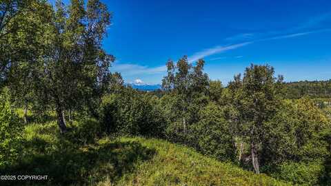15522 Tovarish Street, Ninilchik, AK 99639