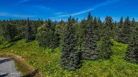 15422 Tovarish Road, Ninilchik, AK 99639