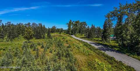 15705 Cecelia Street, Ninilchik, AK 99639