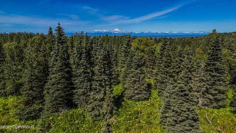 15466 Tovarish Road, Ninilchik, AK 99639