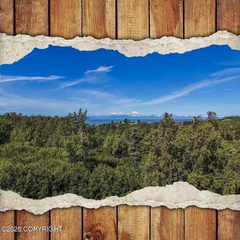 15494 Tovarish Road, Ninilchik, AK 99639