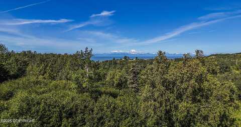 15494 Tovarish Road, Ninilchik, AK 99639