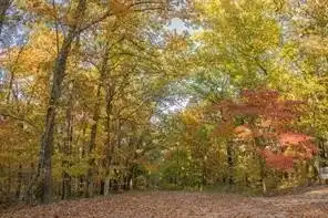 Queensferry LN, Bella Vista, AR 72715