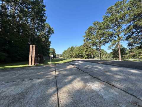 LOT 16 FORSE ST, Woodville, TX 75979