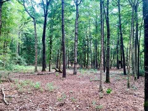8499 FM 92 S, Woodville, TX 75979