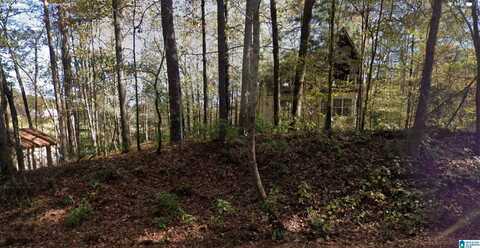 48 HARGIS DRIVE, CHELSEA, AL 35043