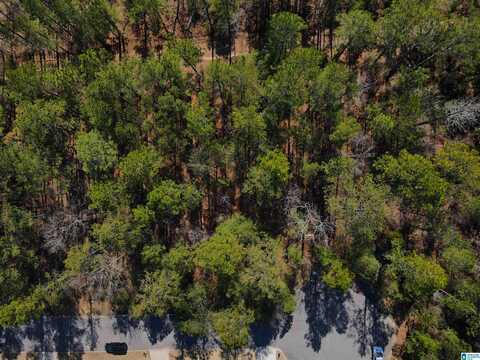 137 COVINGTON PLACE DRIVE, CHELSEA, AL 35043