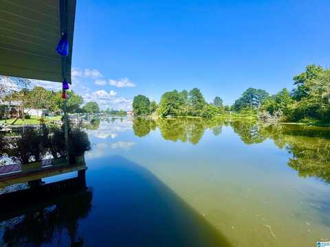 24 SHELINA LANE, SHELBY, AL 35143