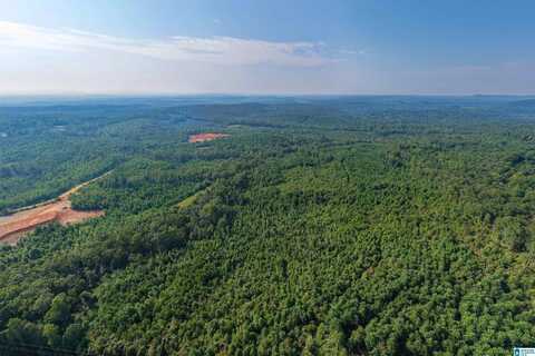 727 SHAW ROAD, PELL CITY, AL 35128