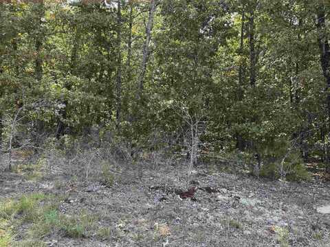 25222 Blue Gill Dr, Roland, AR 72135