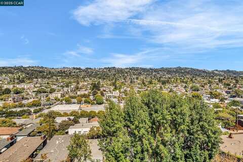 599 Jackson St, Albany, CA 94706