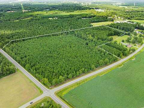 TBD Joy Rd., Hemingway, SC 29554