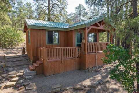 74 Rocky Ridge 2, Pagosa Springs, CO 81147