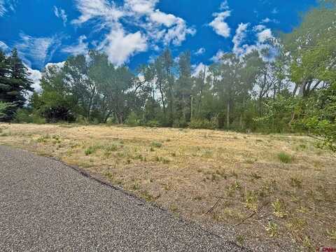 0 Highway 160, South Fork, CO 81154
