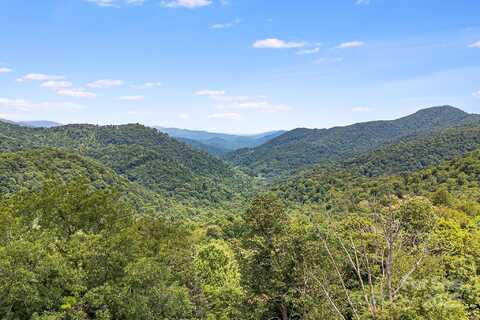 1617 Mountain Gait Drive unit: 16 & 17, Mars Hill, NC 28754