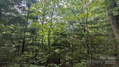 Pinewood Drive, Waynesville, NC 28786