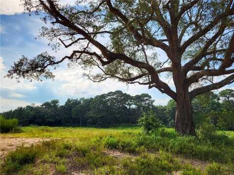 0 Dick Turner Road, Grand Bay, AL 36541
