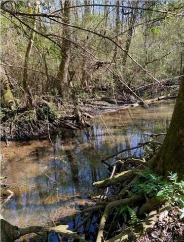 0 Dick Turner Road, Grand Bay, AL 36541