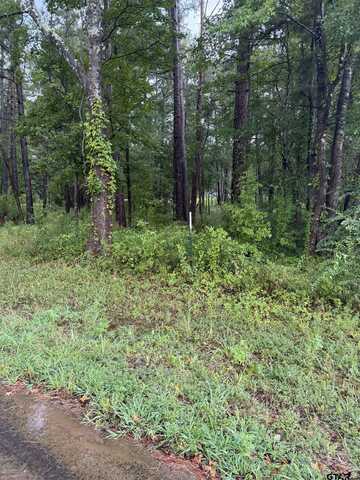 833 CR 3639, Big Sandy, TX 75755