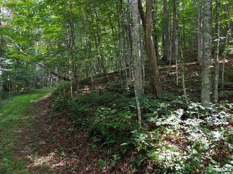 284 Little Mountain Dr, Hillsboro, WV 24946